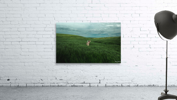 Woman In A Field Wall Preview
