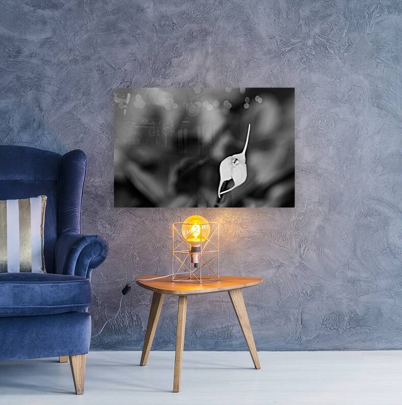 Black  White Floral Series 13 Reproduction