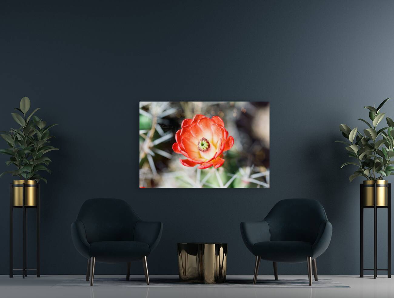 Red Cacti 2 Reproduction