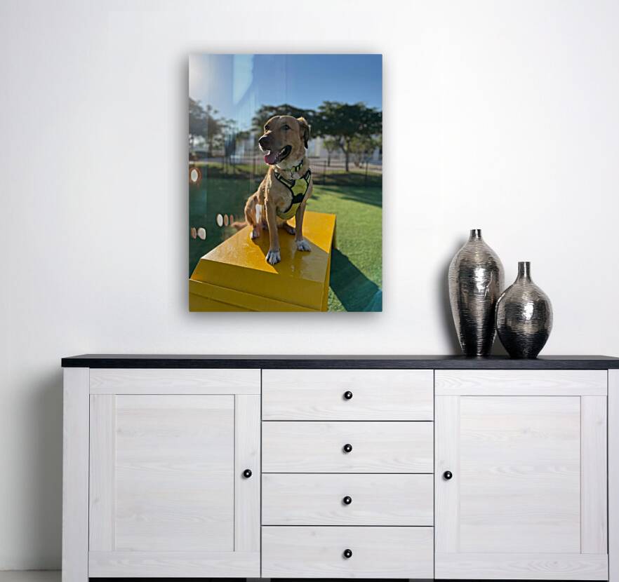 Rufus The Happy Dog Reproduction