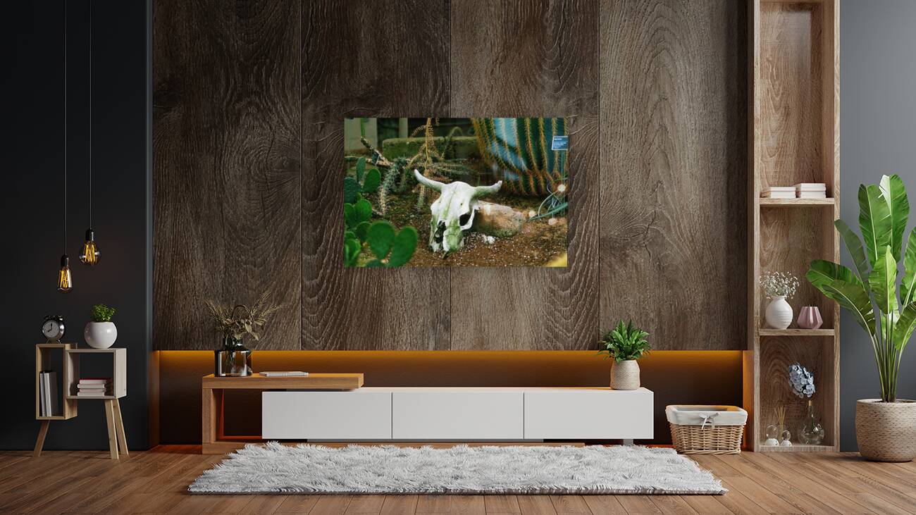 If Skeltons Could Talk Reproduction