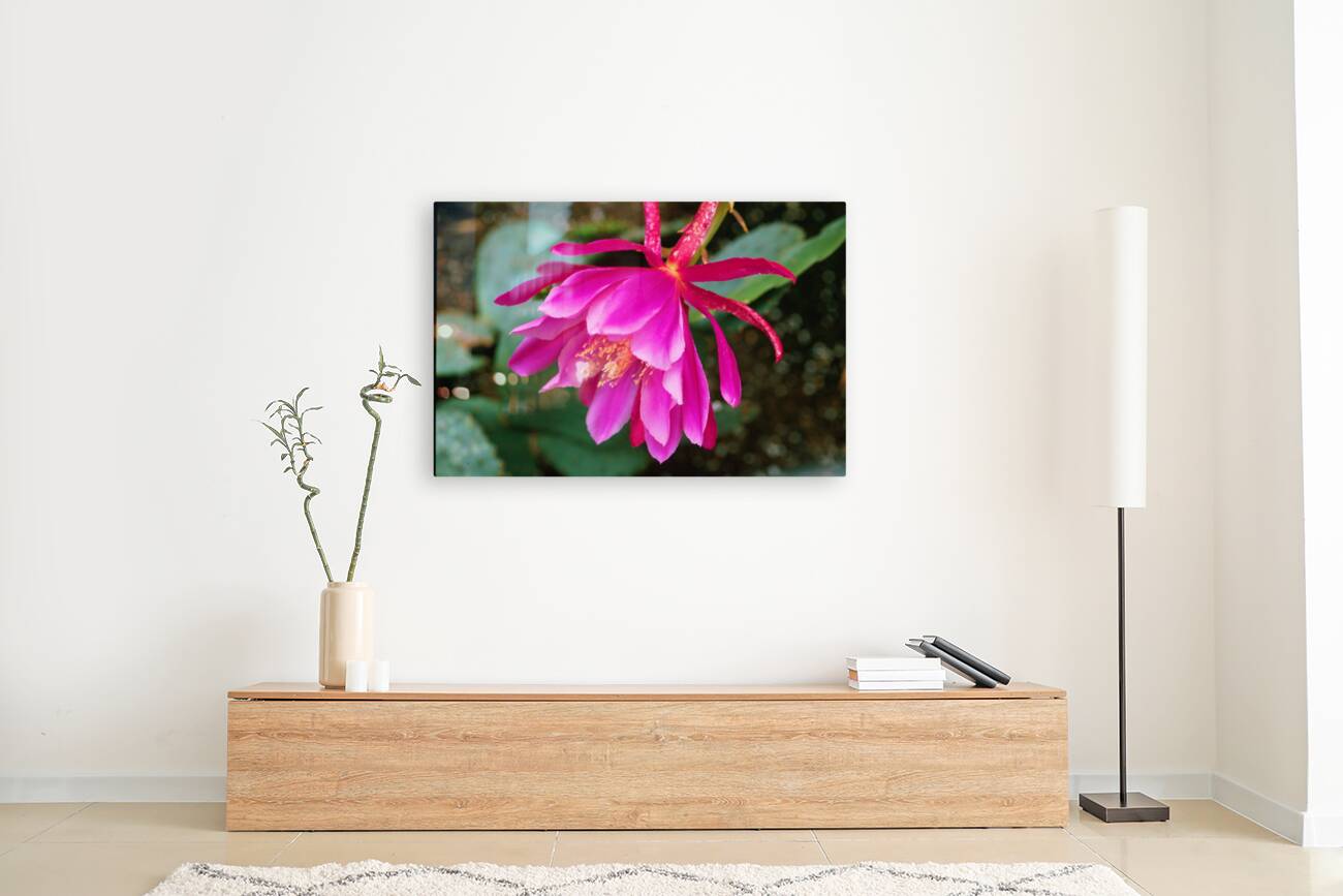 Fuschia Peony Side View Reproduction