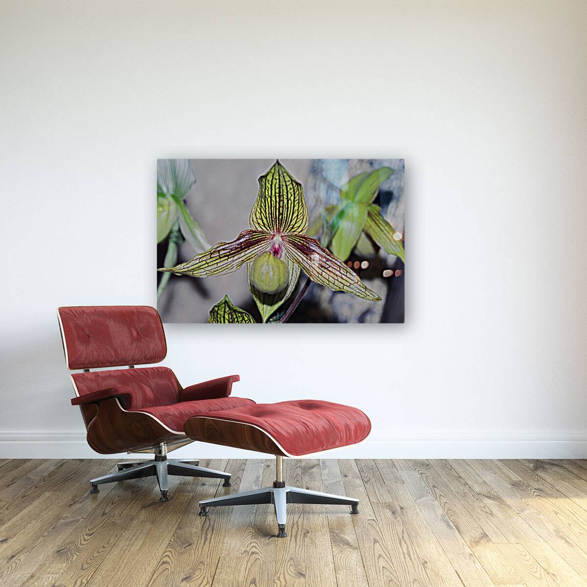 Green Striped Orchid Reproduction