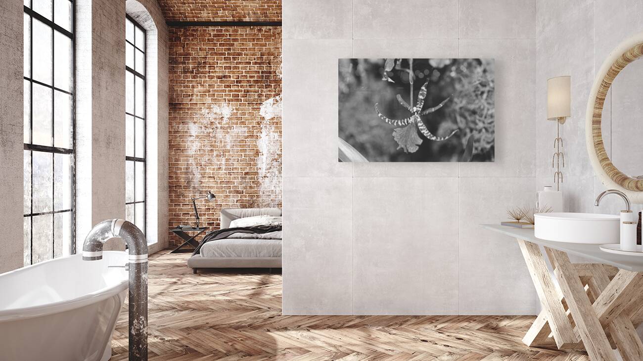Black and White Orchid Series 1 Reproduction
