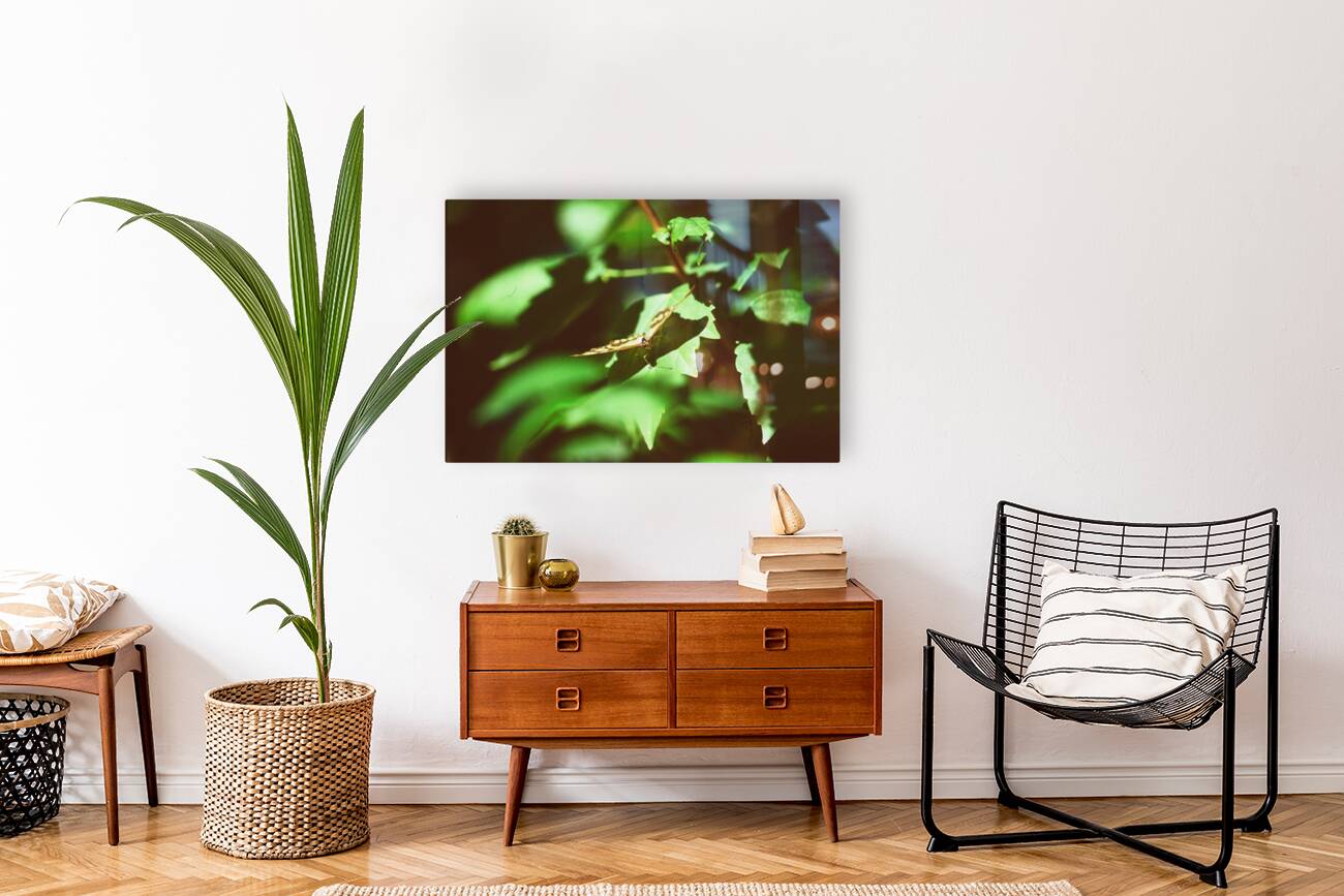 Butterfly With A Captured Beetle Reproduction