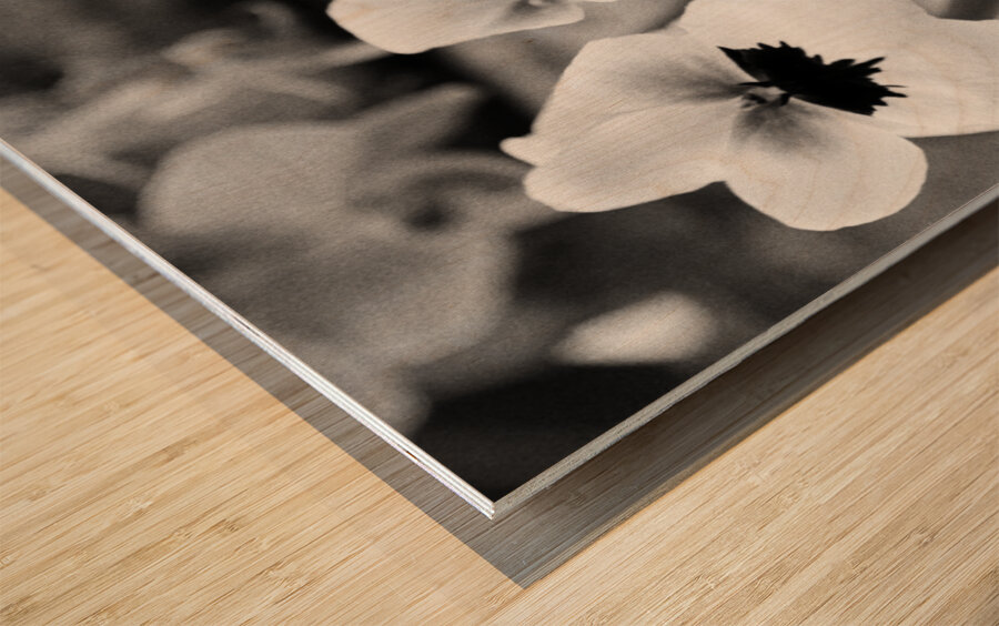 Black  White Floral Series - Double Trouble Wood print