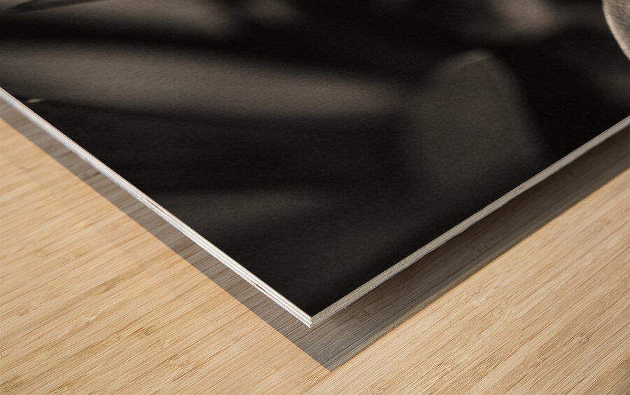 Black  White Floral Series 6 Wood print