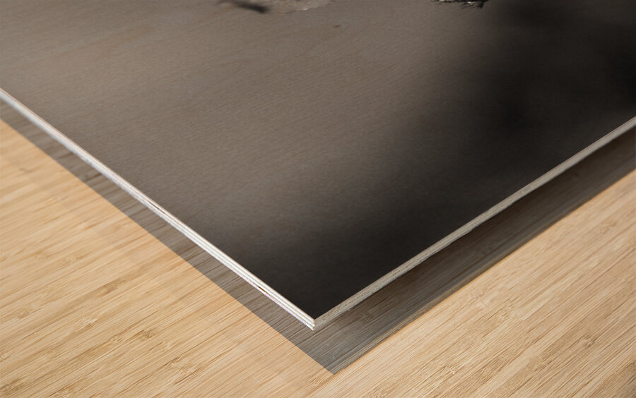 Black  White Floral Series 7 Wood print