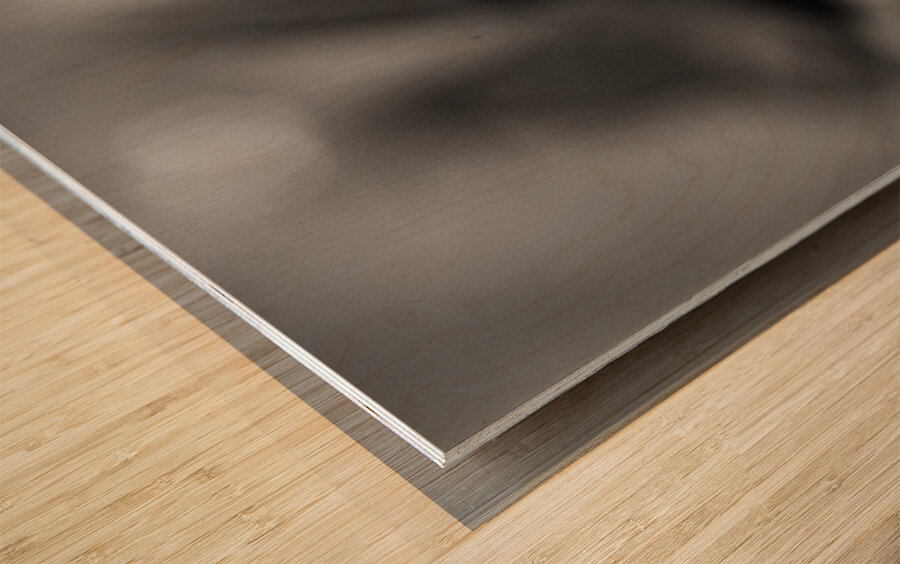 Black  White Floral Series 13 Wood print