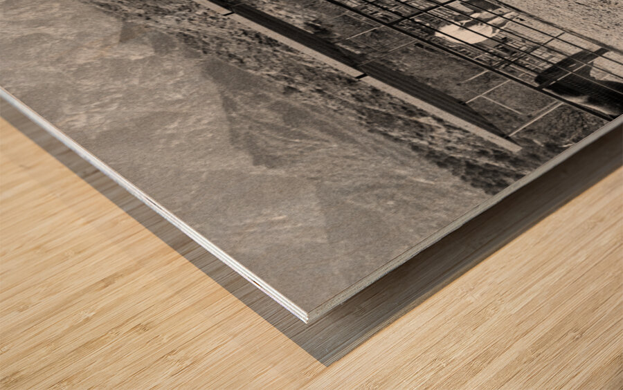 Horse Stretch Wood print