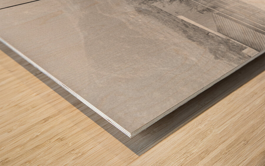 Black Horse Dust Wood print