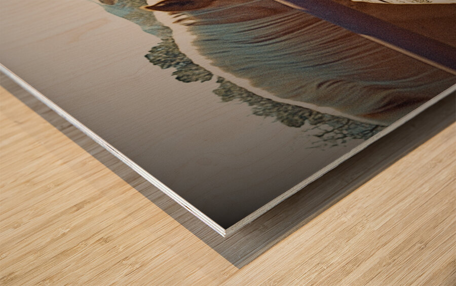 Horse Embrace  Wood print