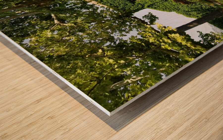 Capri homestead Wood print