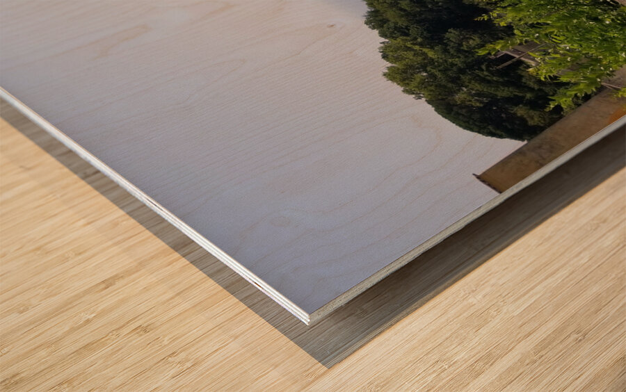 Amalfi views-2 Wood print