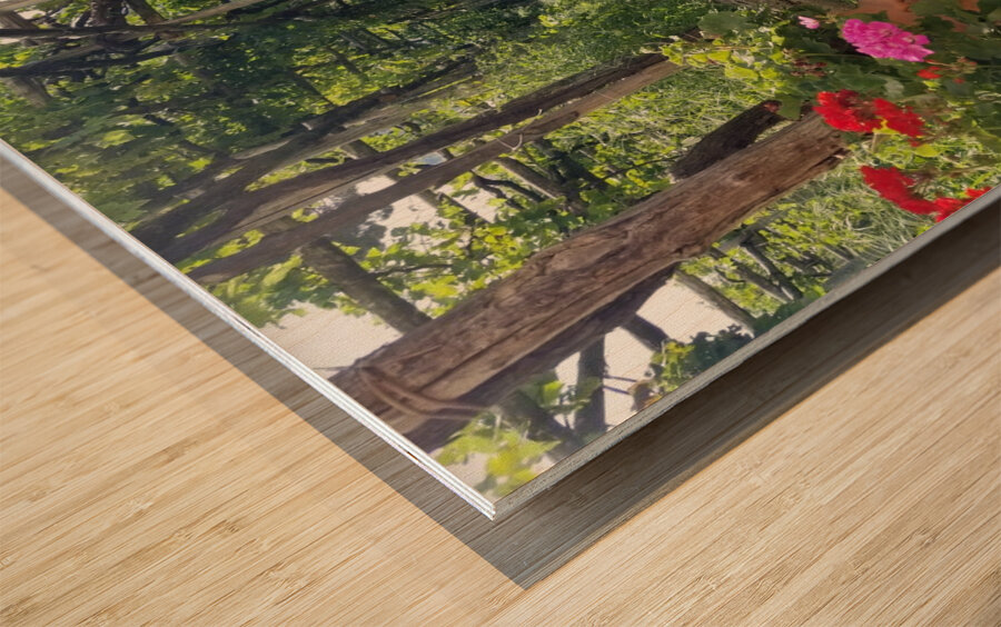 Capri Villas Wood print