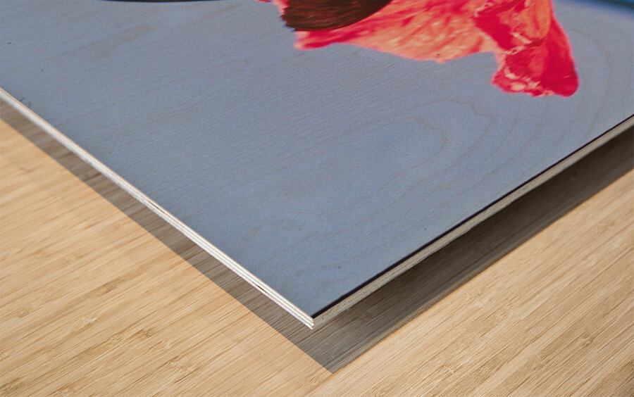 Butterflies Are Free  Wood print