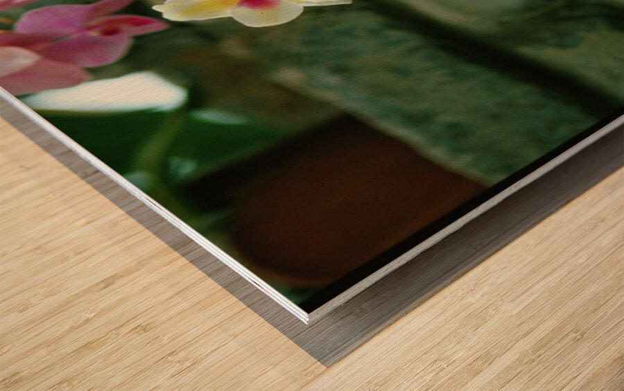 Twin Pansie Flowers Wood print