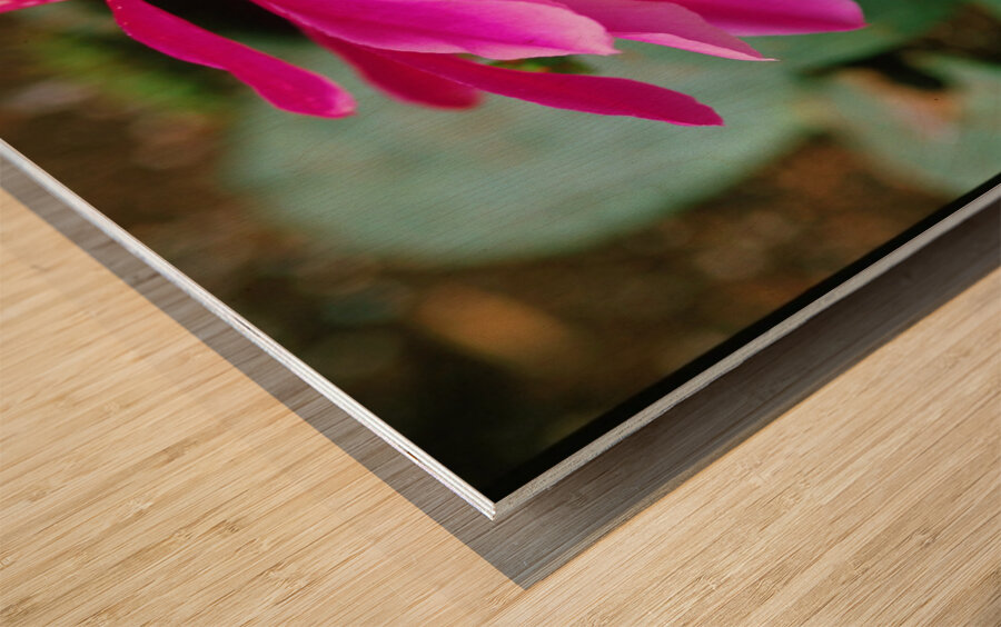 Fuschia Peony Side View Wood print