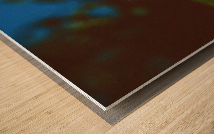 Black Butterfly Merge With The Red Flower Wood print