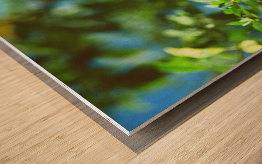 Monarch butterfly Wood print