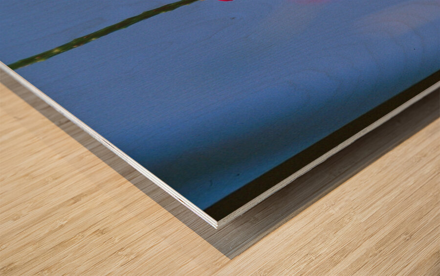 Butterfly and flower love Wood print