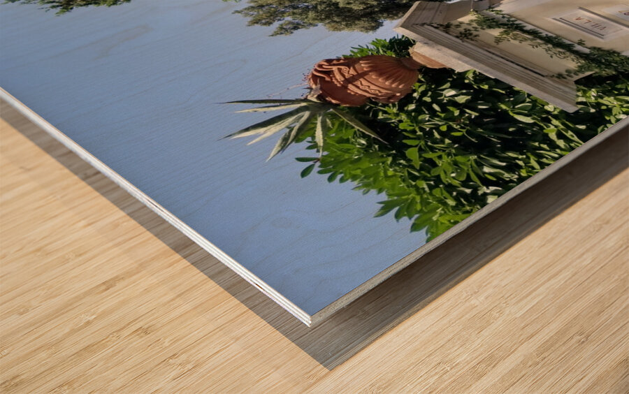 The Gates of Capri Series 2 Wood print