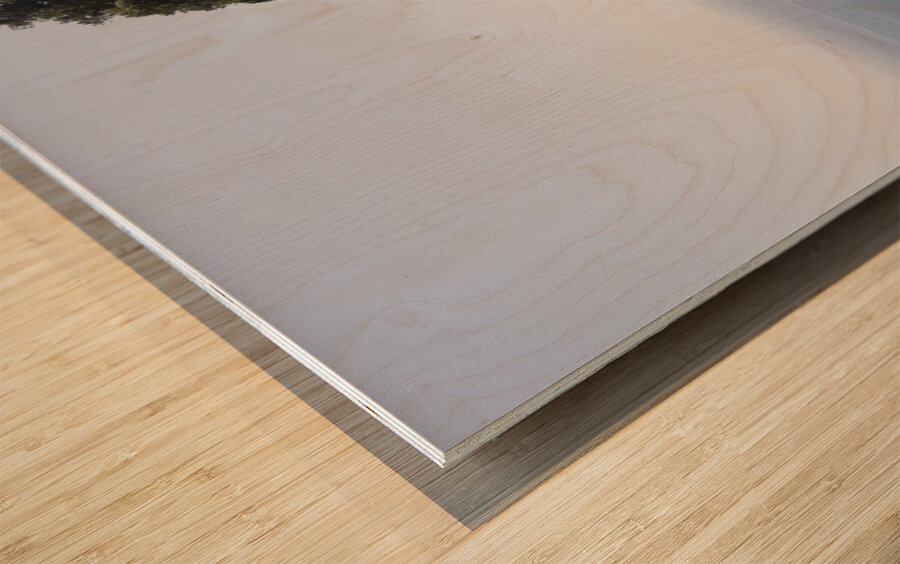 The Drop From Tiberius Castle Wood print