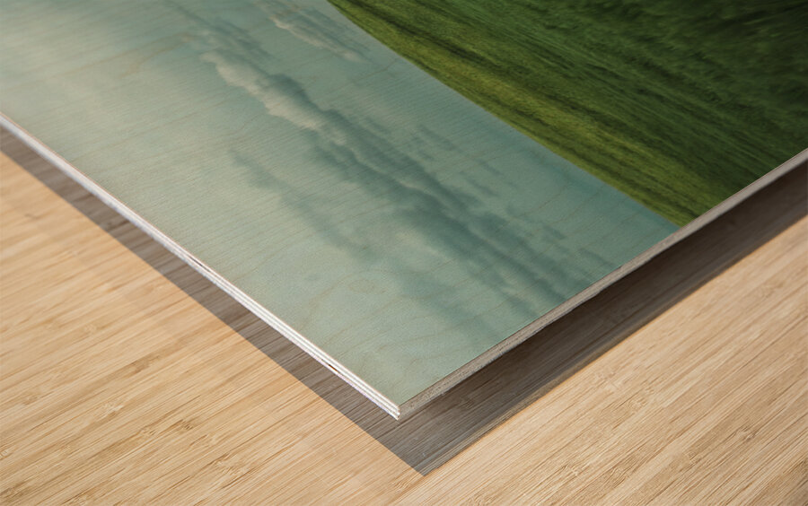 Woman In A Field Wood print