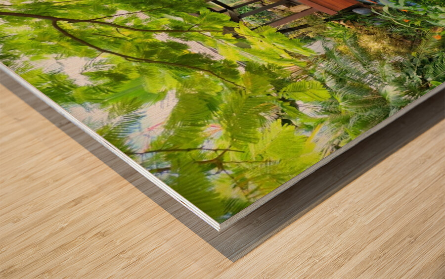 A peaceful Oasis Wood print